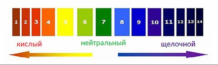 Зачем надо знать кислотность почвы 